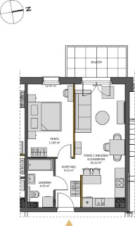 Plan 81